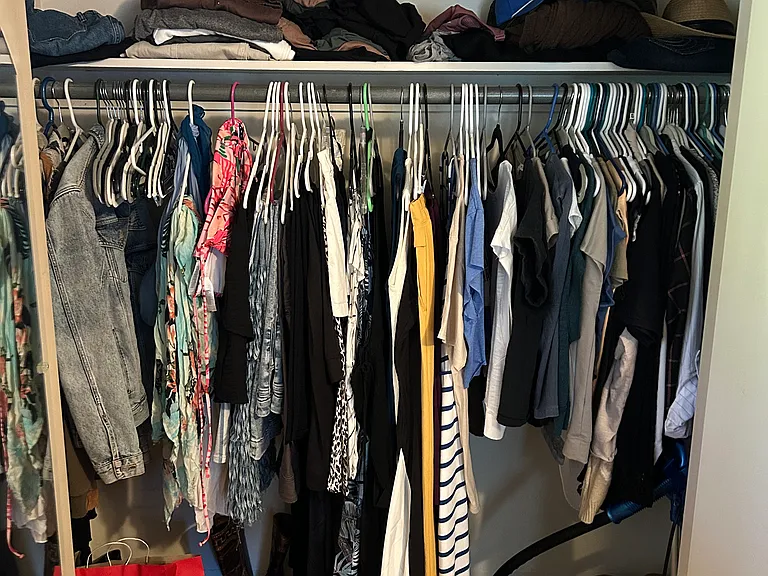 Primary closet