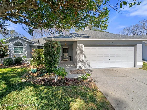 3036 Eagle Bend Rd, Spring Hill, FL 34606