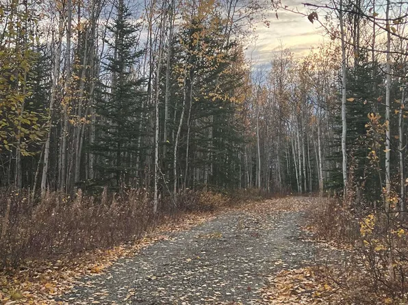 Nhn Nistler Rd, Delta Junction, AK 99737