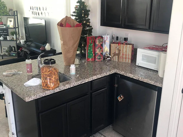 313 E Bella Serata Ave — Photo 4