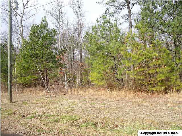 2nd image of 30778 Mill Race Dr