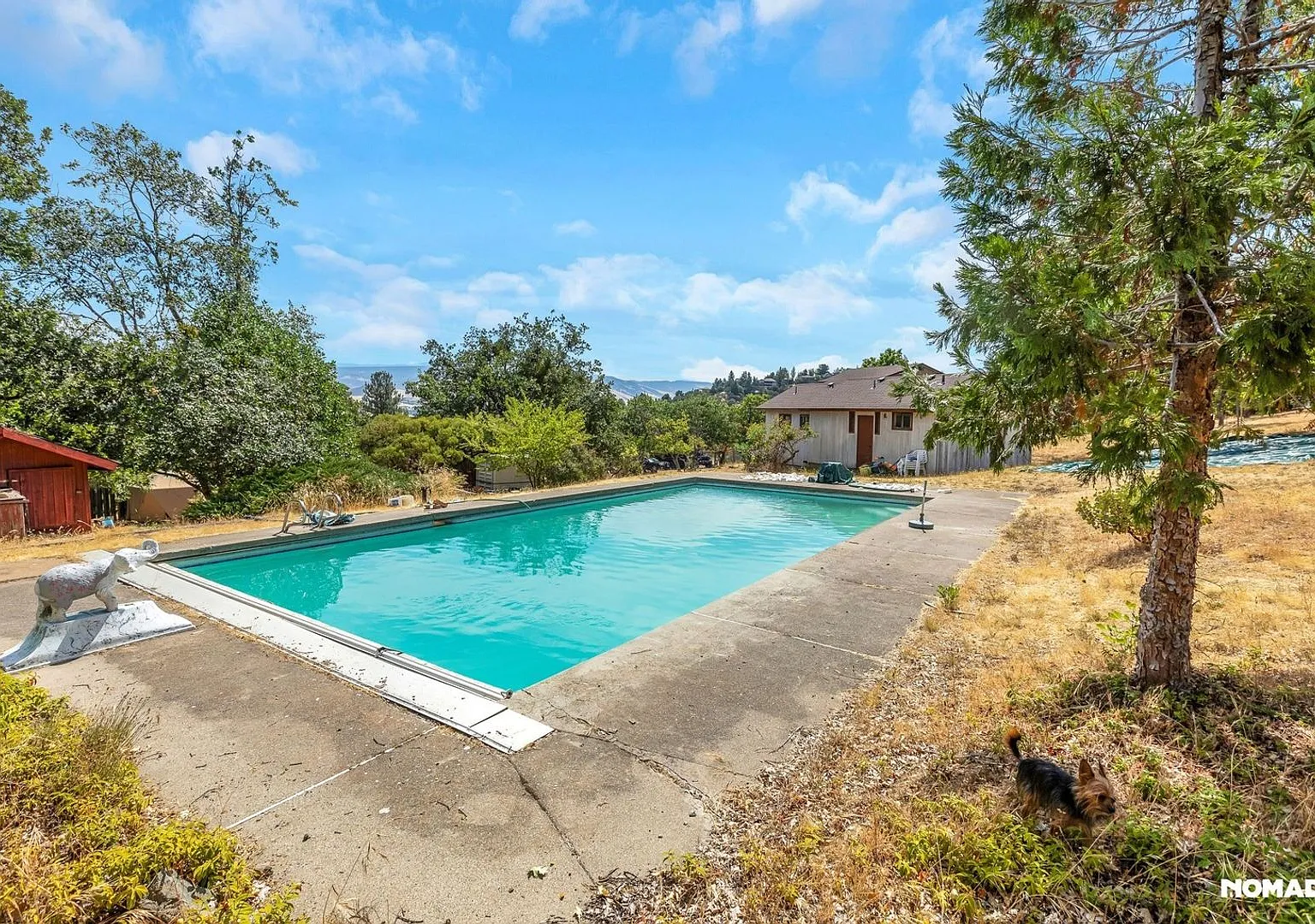 Soulful Mountain Sanctuary in Ashland - Available September 1st! — Photo 4