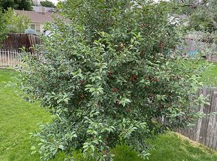 1257 W 135th Pl, Westminster, CO 80234