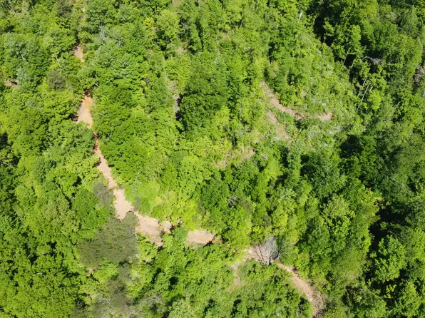 9999 Sukey Hollow Rd, Williamsburg, KY 40769
