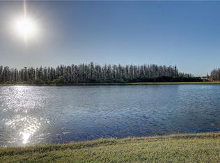 19312 Haskell Pl, Land O Lakes, FL 34638