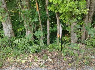 1 Webster Hollow Rd, Rogersville, TN 37857