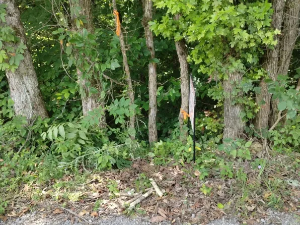 1 Webster Hollow Rd, Rogersville, TN 37857