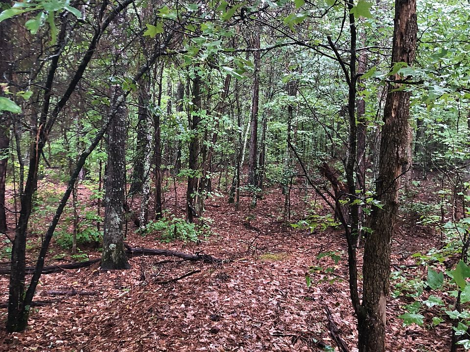 2nd image of 213 Black Rd