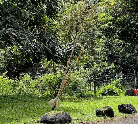 3rd image of Kaloko Dr Lot 5-A