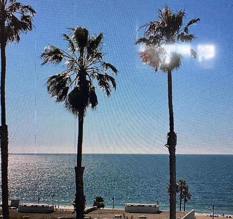 View from balcony