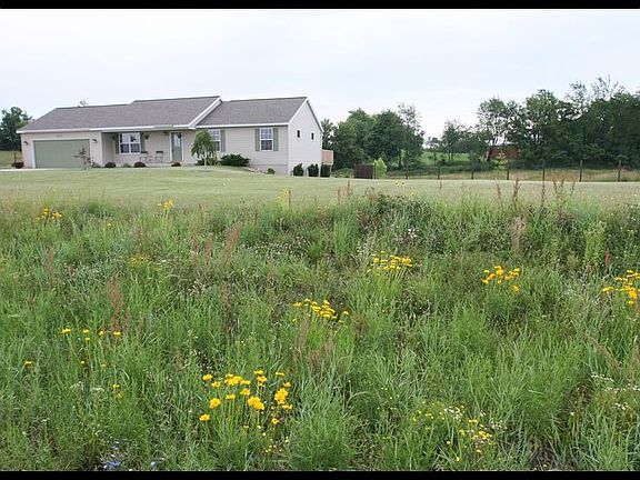 Lots of wildflowers and natural forage grasses, beautiful full grass yard