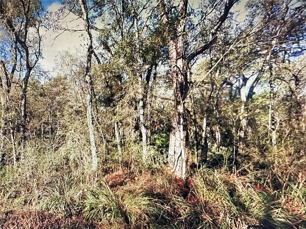 Table Rock Dr #9, Webster, FL 33597