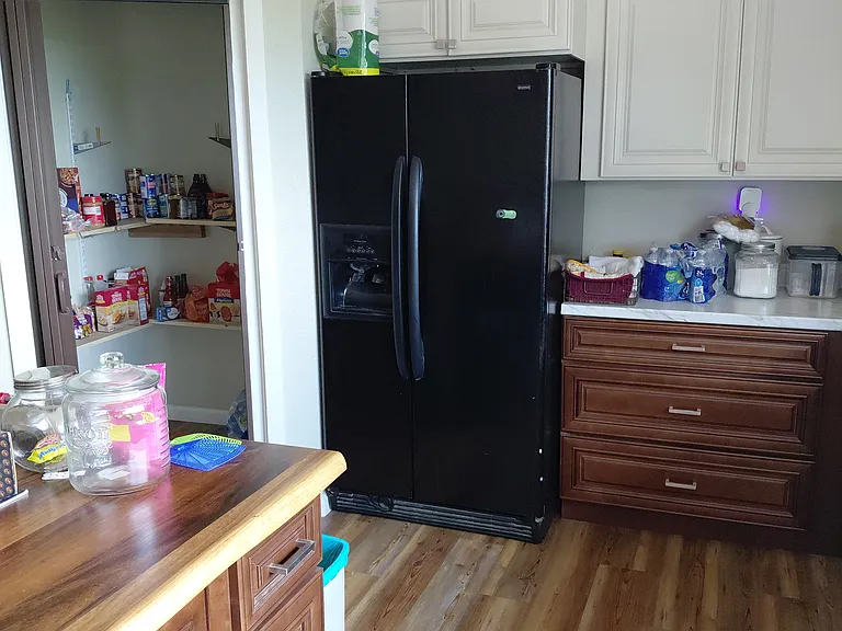 kitchen pantry and fridge