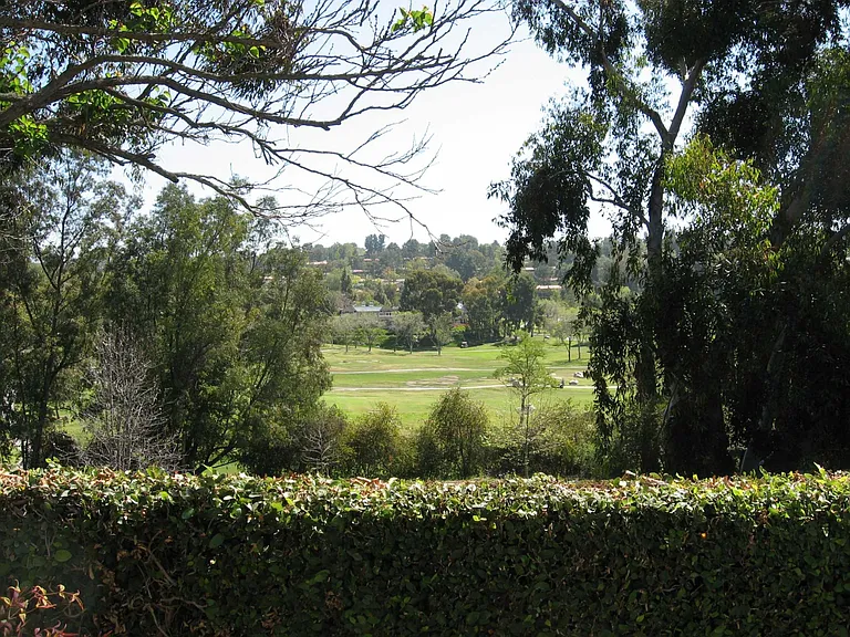 Golf course view