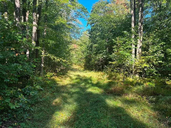 300-27 Easement Rd, Harrison, MI 48625