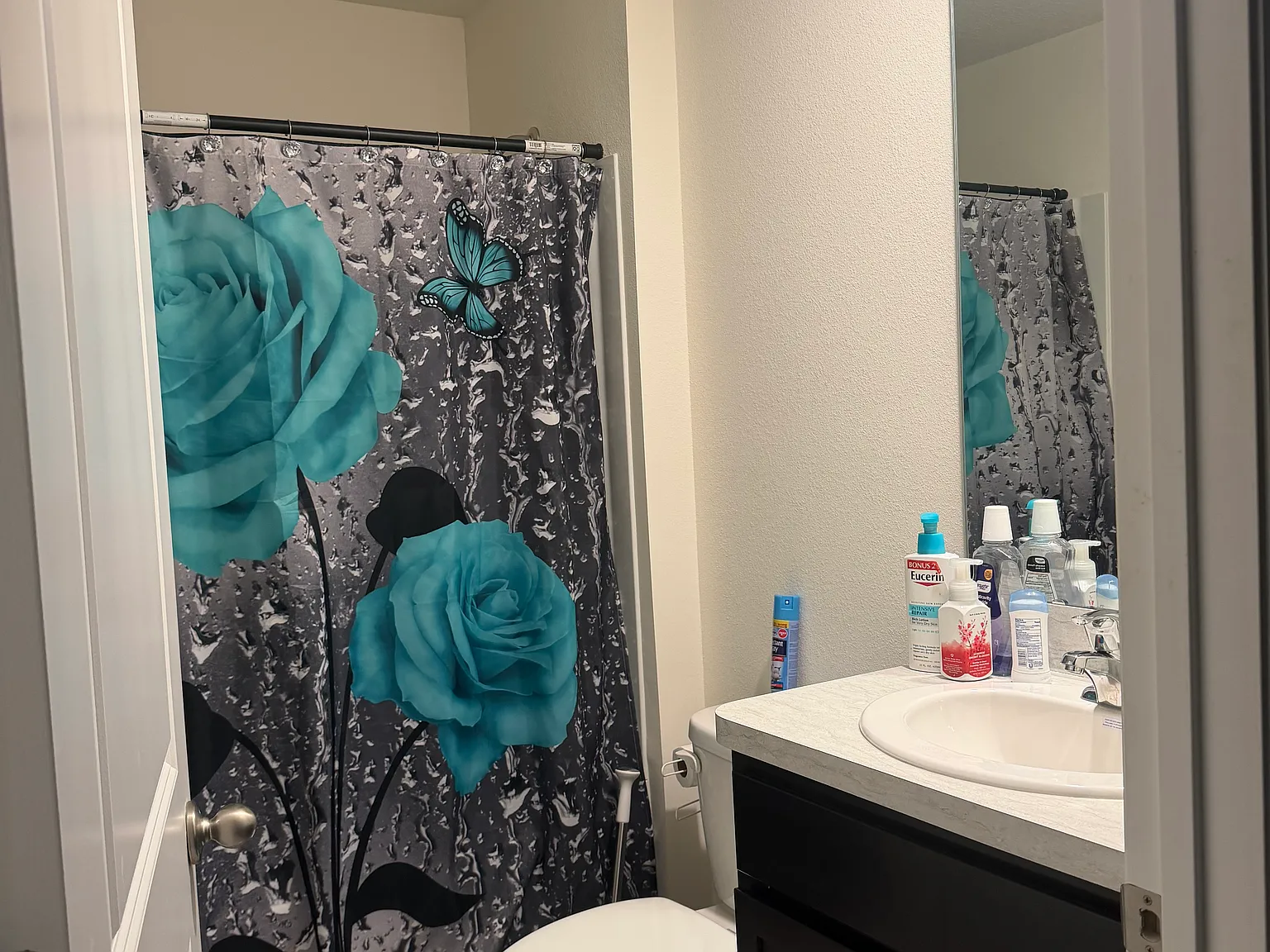 3 bed, 1672 sqft, $1,000 — Photo 3