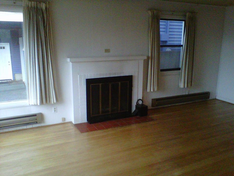 Wood burning fireplace