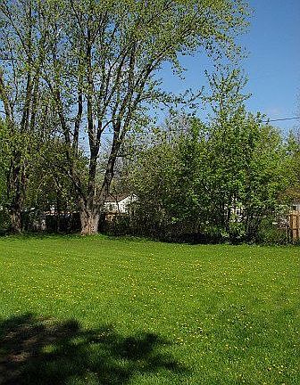 .39 Acre Wooded Lot!