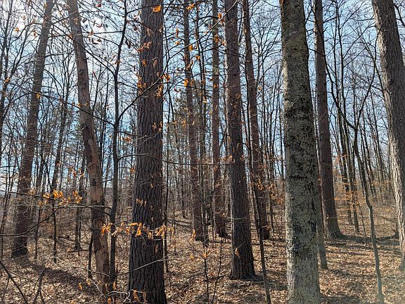 2nd image of 0 Larson Rd