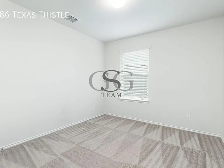 186 Texas Thistle — Photo 13