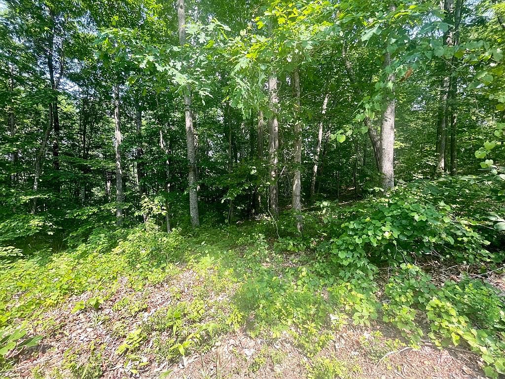 Watercolor Dr, Sparta, TN 38583 MLS 219471 Zillow