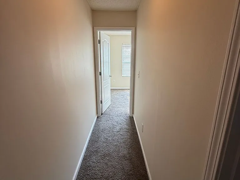 248 Fern Ridge Ct — Photo 10