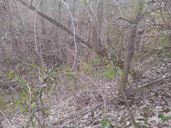 10801 Buckskin Rd, Poland, IN 47868