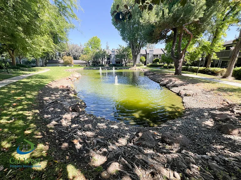 2212 Almaden Rd — Photo 3