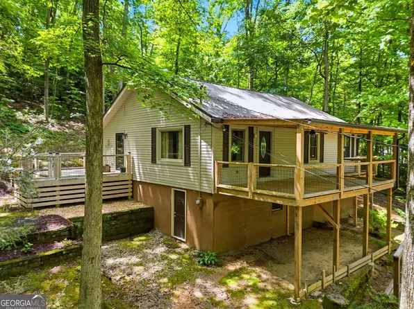 629 Goose Island Rd, Cherry Log, GA 30522
