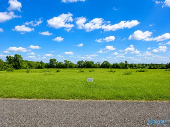 17228 Red Hill Rd, Athens, AL 35611