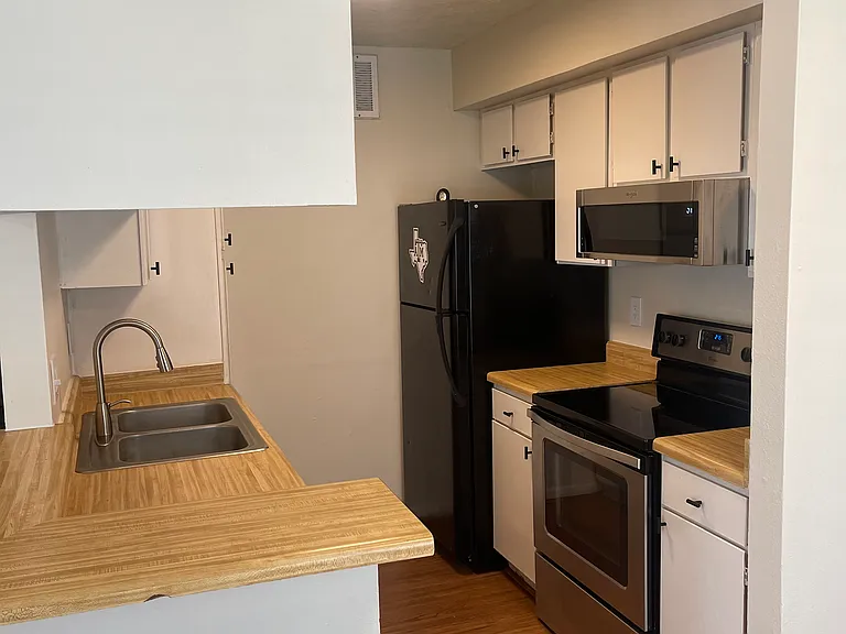 4441 Old College Rd #4201 — Photo 6