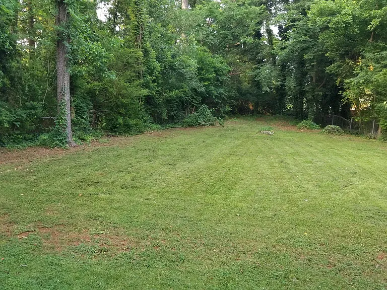 Backyard (1)