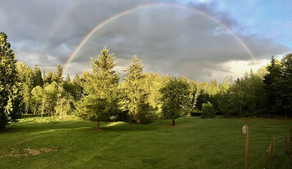 Main pasture, facing E