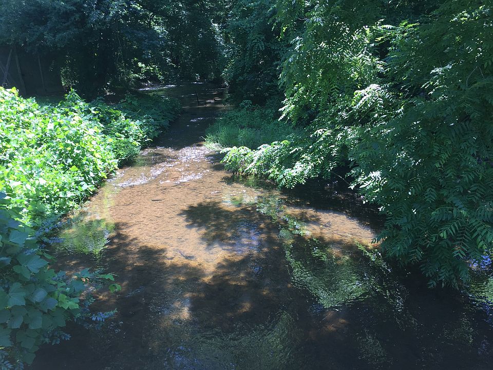 2nd image of 336 McArthur Rd