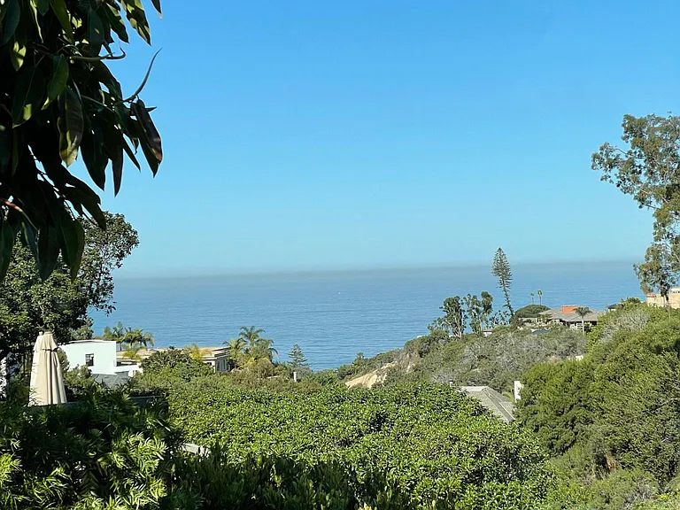 1402 Rodeo Dr — Photo 31
