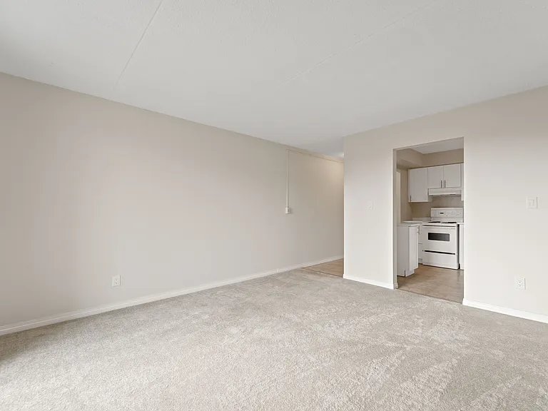 3540 Peter St — Photo 8