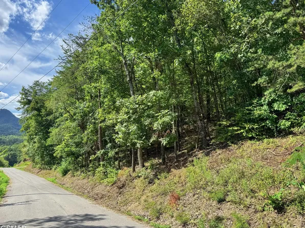 0 Helton Rd #Na, Sevierville, TN 37876