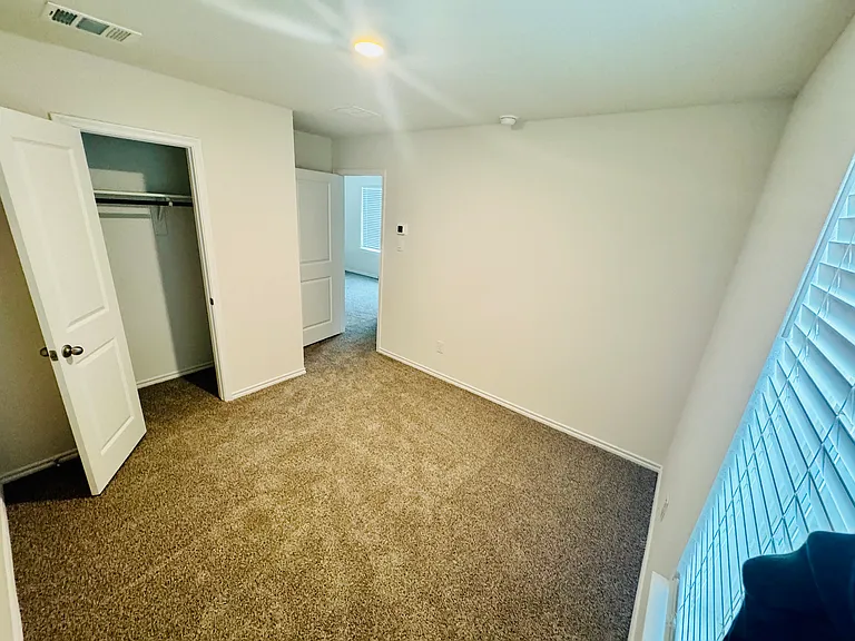 3924 Limestone Bluff Dr — Photo 11