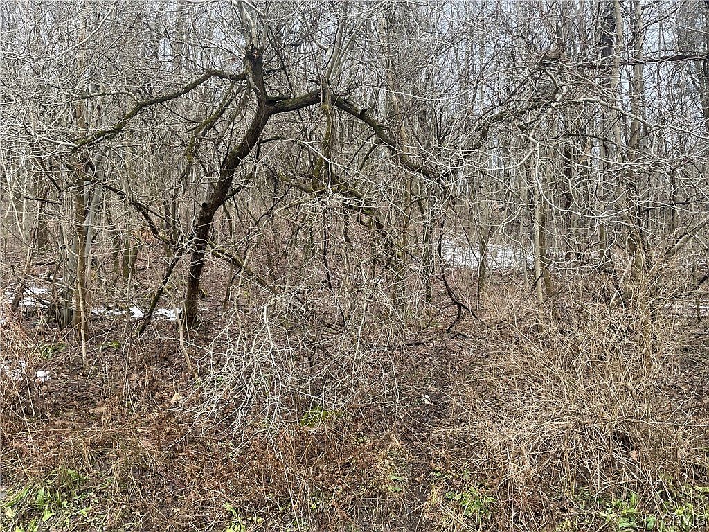 0 Gardner Rd 2, Pompey, NY 13138 MLS S1517049 Zillow