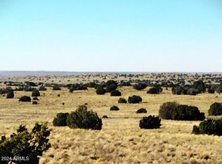 PARCEL 19 Sec #18-T20N-R28E, Sanders, AZ 86512