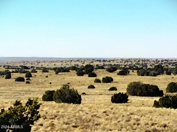 Parcel 19 Sec 18 T20N R28E -- #-, Sanders, AZ 86512