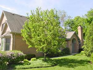 5th image of 1181 Willowgate Ln
