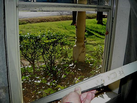 5th image of 125 Lakevista W