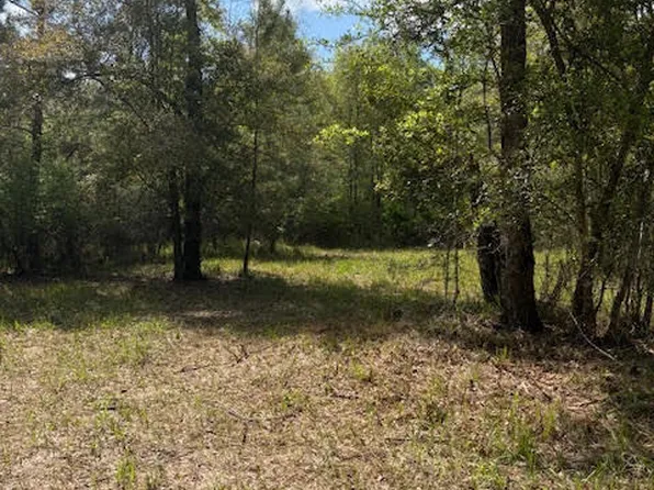 0 Iron Bridge, Marianna, FL 32446