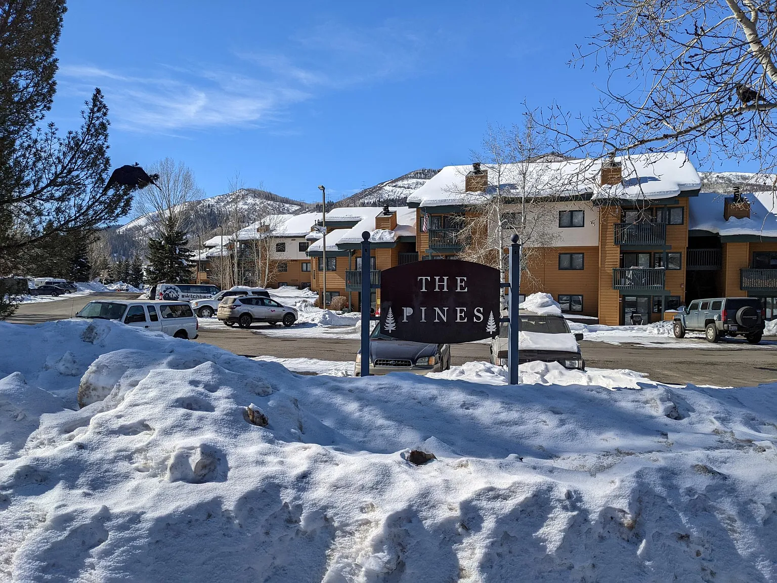 3 bed, 1470 sqft, $4,350 — Photo 3