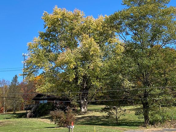 Picturesque lot, maintained by homeowner.