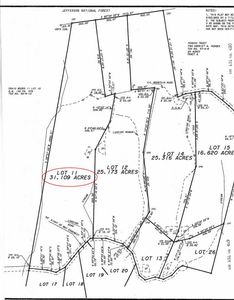 Mount Chestnut Rd LOT 11, New Castle, VA, 24127