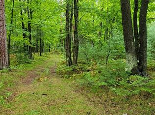 NULLD Trem Pal Rd, Grayling, MI 49738