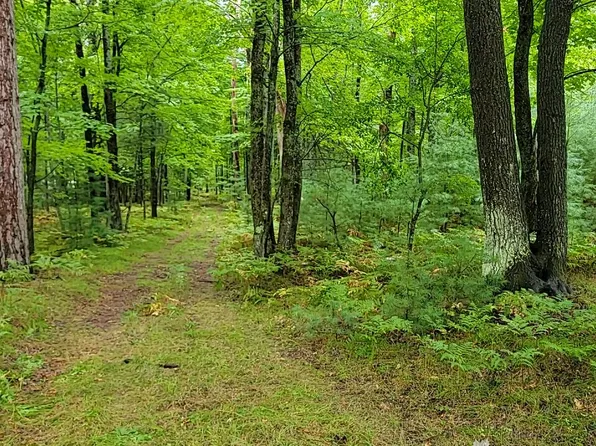 NULLD Trem Pal Rd, Grayling, MI 49738