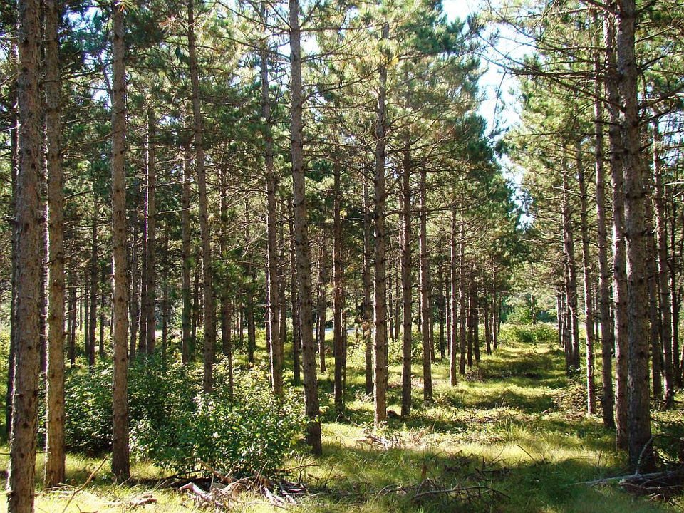 1st image of 8 Hidden Trl #8